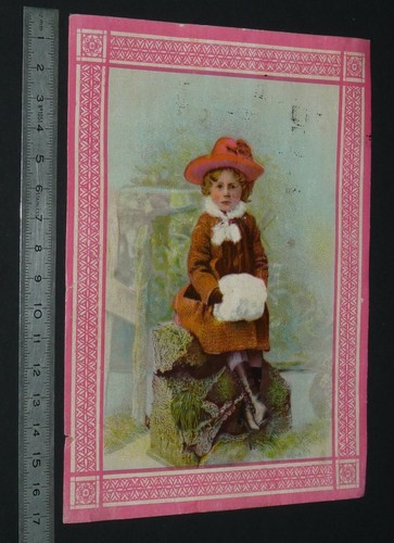 Chromo 1880 1895 chicoree - 1880-1895,