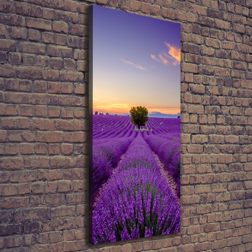 Tulup tableau sur - tableau, toile
