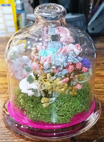Cloche dome verre - cloche, avec