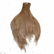 Plume de cou de coq beige pour