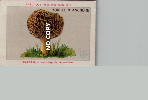 Chromos blecao champignons - blecao,