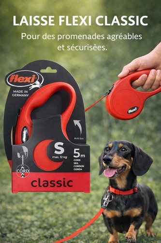 Laisse rétractable flexi - rétractable,