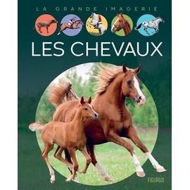 Livre les chevaux - livre,
