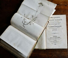 LOISELEUR DESLONGCHAMPS: Flora