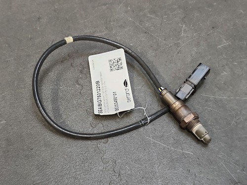 Sonde lambda amont - ,