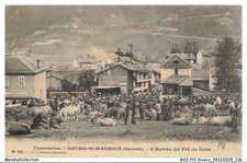 AYZP11-1251-73 - Tarentaise -