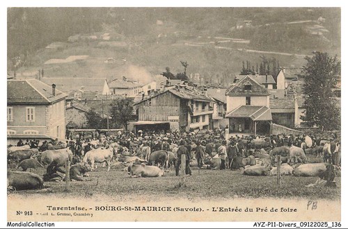 Ayzp11 1251 tarentaise - ayzp11-1251-73,