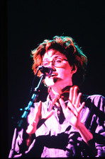 Attraction Foraine Photo