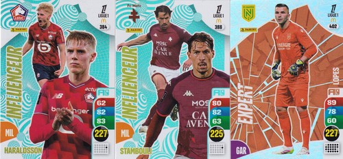 Carte panini adrenalyn xl - panini,