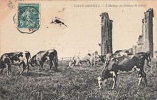 saint arnoult L'herbage du