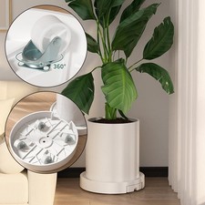 Roulettes pivotantes caddie