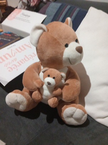Ancien doudou peluche ours - , et