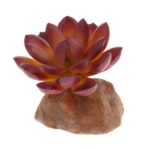 Terrarium faux multi mini - terrarium, multi-mini