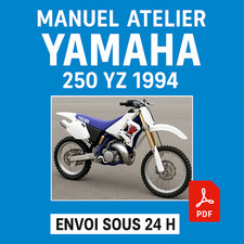 Manuel Atelier Yamaha 250 YZ
