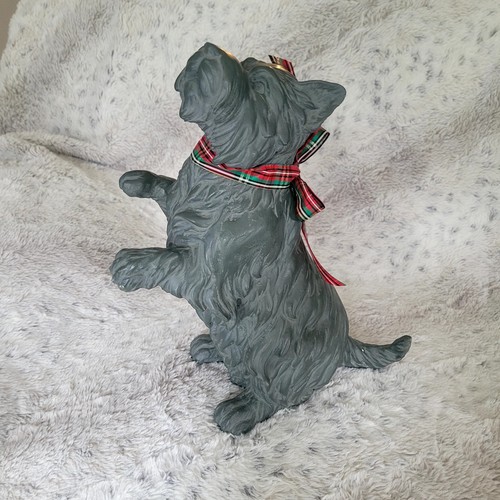 West highland terrier westie - west,
