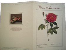 PLAQUETTE BLOC FEUILLET N 24 "CONGRÈS MONDIAL DE ROSES ANCIENNES LYON"  1999