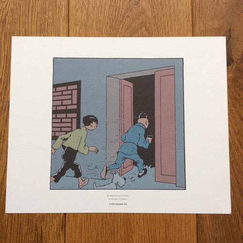 Herge moulinsart 2010 lotus - herge-moulinsart, le