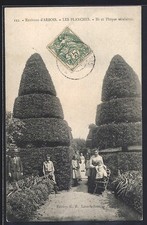 CPA Arbois, Les Planches, Ifs et Thuyas séculaires 1907 