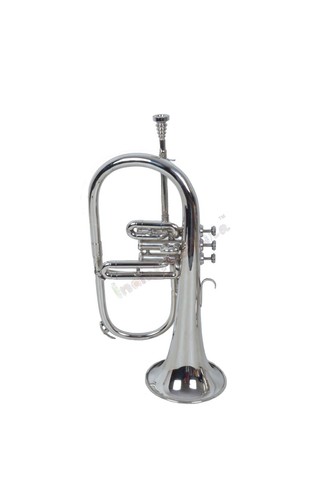 Instrument musique indien - instrument, de
