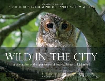 Wild the city a - the,