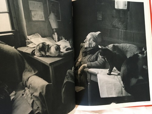 Varda doisneau leautaud - [varda-, doisneau‎].