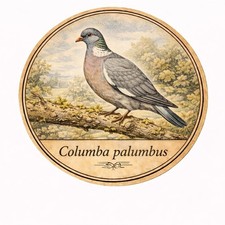 Autocollant sticker oiseau