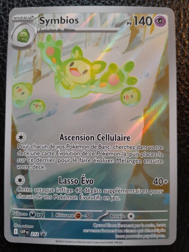 Carte pokémon promo - svp, 212