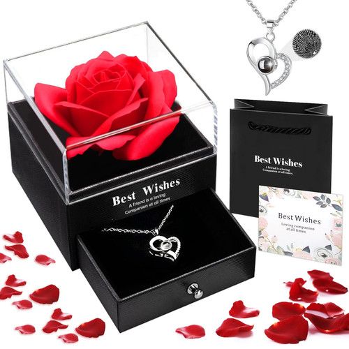 Rose éternelle avec chaîne - rose,