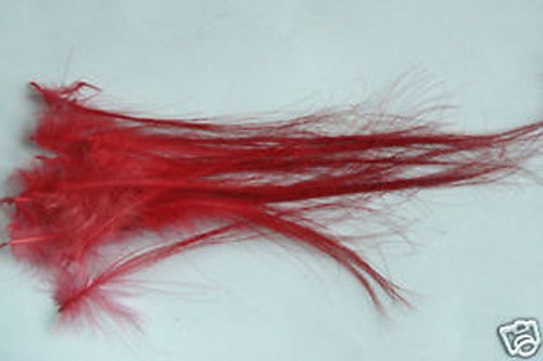 Plumes spey hackle - 12,