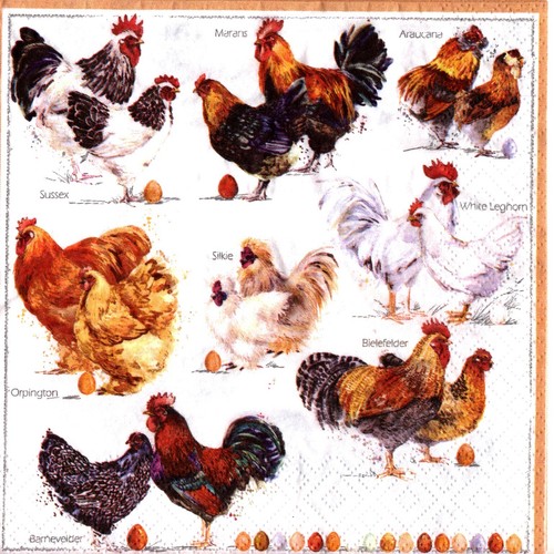 Serviettes papier - en,