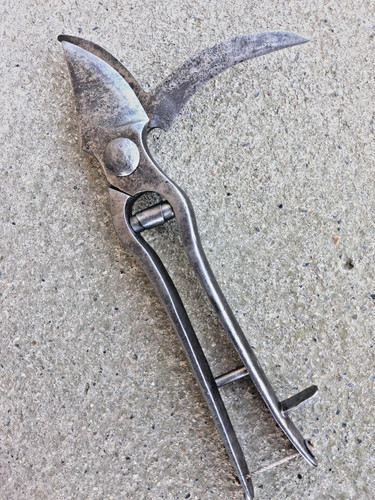 Ancien secateur metal forge - metal,