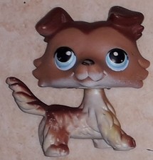 Petshop chien colley 58