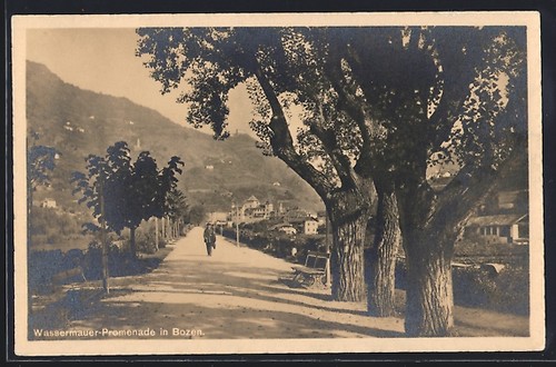 Carte postale bolzano - carte,