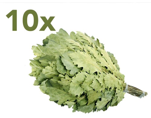 Eichenreisig 50 60cm - eichenreisig, x