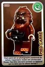 Crée Ton Monde Carte Lego 2018 Auchan N°53 Pied Carré