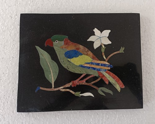 Colorful parrot bird inlay - parrot,