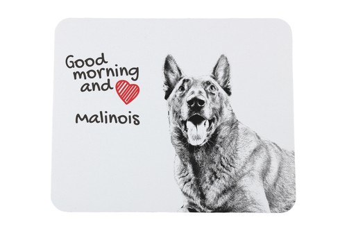 Malinois chien berger belge - malinois,