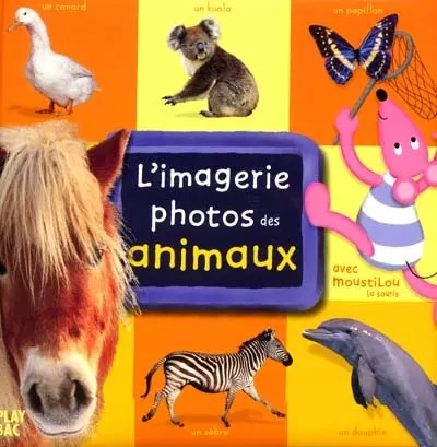 Imagerie photos moustilou - l'imagerie,