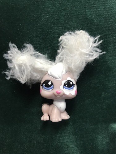 Petshop lapin garenne - petshop,