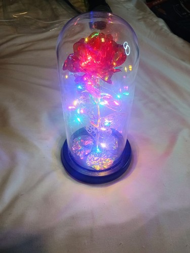 Lighted rose glass dome - lighted, led