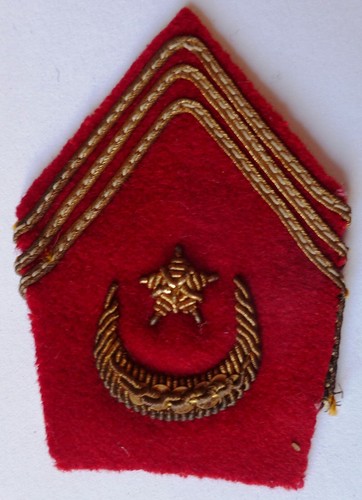 Insigne patte col - patte, sahara