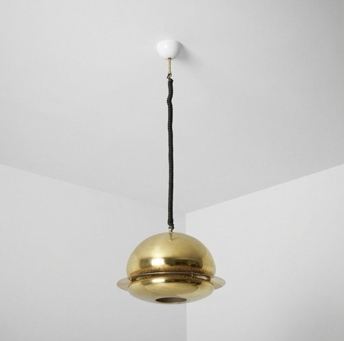Flos nictea tobia - nictea,