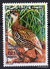 Yt N° 713  MAROC MOROCCO