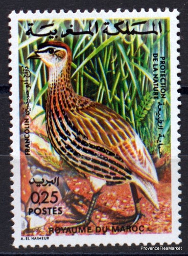 713 maroc morocco - n°,