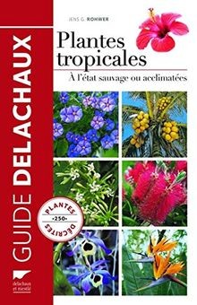 Plantes tropicales a létat - :,