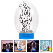 Écosphère écosystème fermé petit aquarium écosystème de crevettes