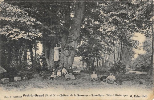 Cpa vert grand - cpa, le