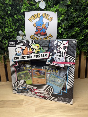 Pokémon coffret - 🇫🇷,