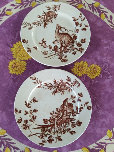 Assiettes dessert terre - 2, à