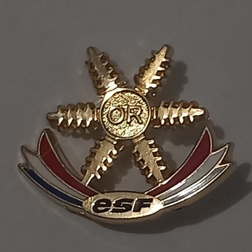 Insigne broche médaille - insigne,